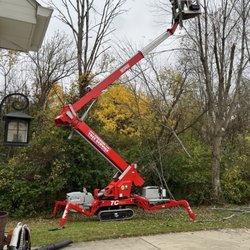 Ferguson Tree Service - Tree removal in progress