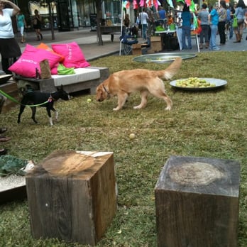 Barkitecture - #Barkitecture #atx - Pet Services Near Me - Austin, Texas