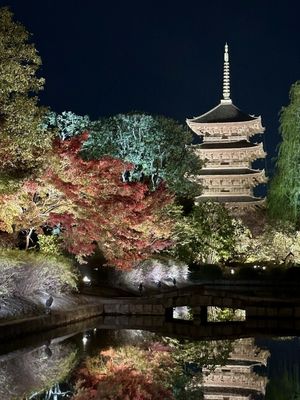 To-ji Temple by null