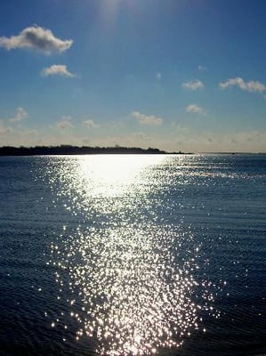 Ponquogue Beach by null