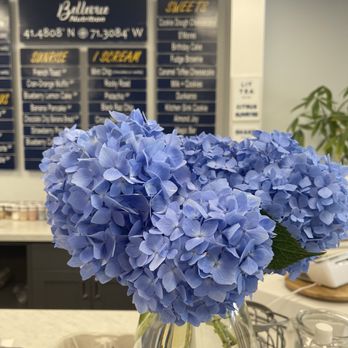 Bellevue Nutrition - Lovely atmosphere! - Juice Bars & Smoothies Near Me Bellevue Nutrition - Lovely atmosphere! - Juice Bars & Smoothies Near Me
