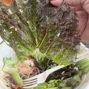 World Wrapps - Huge lettuce leaves in salad. - Wraps Near Me - Santa Clara, California World Wrapps - Huge lettuce leaves in salad. - Wraps Near Me - Santa Clara, California