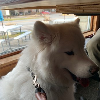 Red Rooster Pub & Eatery - Teddi being the bestest girl in the pub! - Pubs Near Me - Skaneateles Falls, New York Red Rooster Pub & Eatery - Teddi being the bestest girl in the pub! - Pubs Near Me - Skaneateles Falls, New York