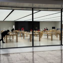 Apple - Chestnut Hill