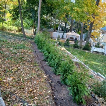 Constanza Landscaping - Green giants Plantation - Lawn Services Near Me Constanza Landscaping - Green giants Plantation - Lawn Services Near Me
