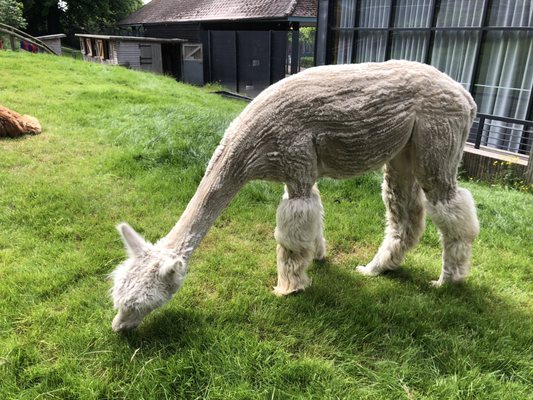 Horniman Museum and Gardens by null