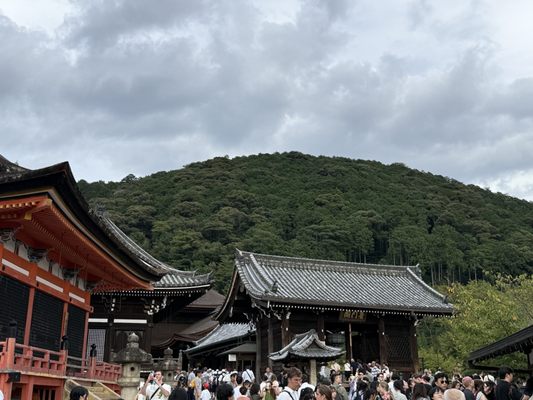Kiyomizu-dera by null