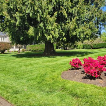 Distinctive Landscape - Landscaping Near Me - Vancouver, Washington Distinctive Landscape - Landscaping Near Me - Vancouver, Washington