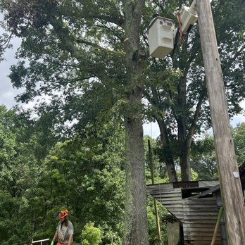 Top 2 Ground Tree Service - Tree Services Near Me - Cartersville, Georgia