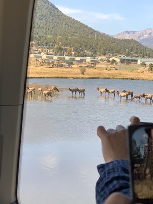 Explorer Denver Tours by null