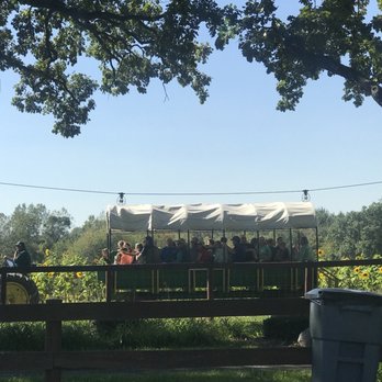 Royal Oak Farm Orchard - Fruits & Veggies Near Me - Harvard, Illinois