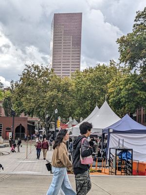 Tom McCall Waterfront Park by null