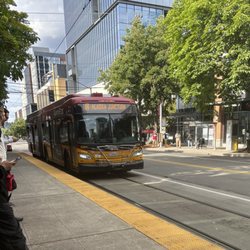 RapidRide C Line - Bus Exterior