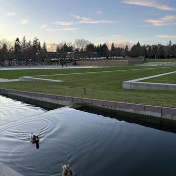 Bellevue Downtown Park - Parks Near Me - Bellevue, Washington Bellevue Downtown Park - Parks Near Me - Bellevue, Washington