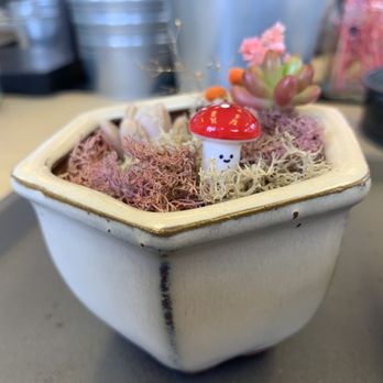 The Garden Home - Cute little touches to my succulent planter - Home Decor Near Me The Garden Home - Cute little touches to my succulent planter - Home Decor Near Me