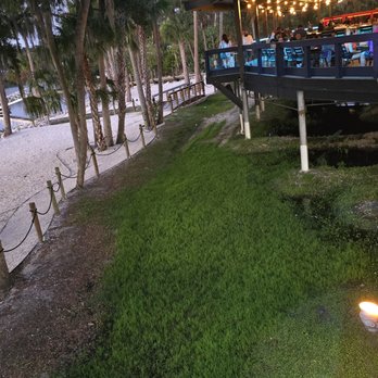 Tiki Docks Riverview - Salad Near Me - Riverview, Florida