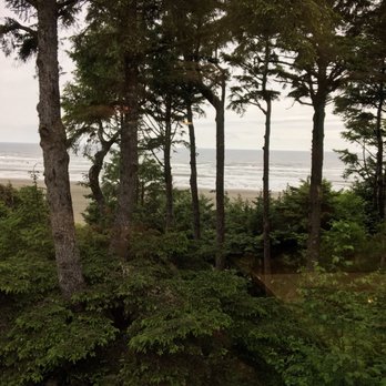 Ocean Crest Restaurant - View from the restaurant - Seafood Near Me - Moclips, Washington Ocean Crest Restaurant - View from the restaurant - Seafood Near Me - Moclips, Washington