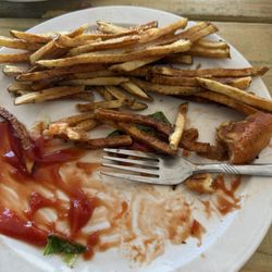 Suds Brothers Brewery - Blue burger and hand cut fries