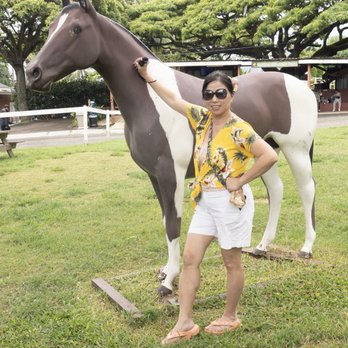 Kualoa Ranch - Tours Near Me - Kaneohe, Hawaii