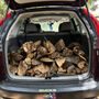 Photo of Murdoch's Tree Care and Firewood