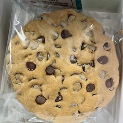 Felipe's Creations - Chocolate chip cookies
