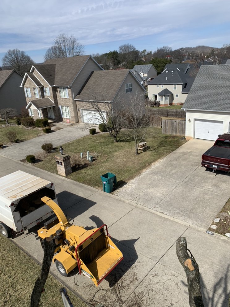 A&L Tree and landscaping - tree service in Milton, WV