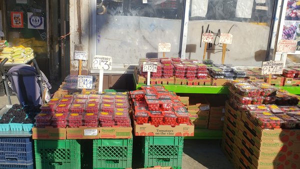 Bloor Fruit Market by null