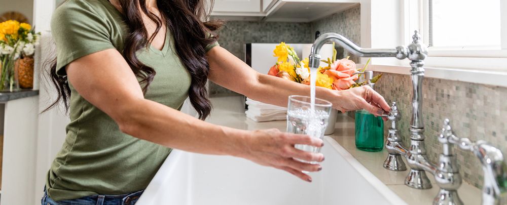WHOLE HOUSE WATER FILTER Request A Quote Water Purification Services 927 Calle Negocio 