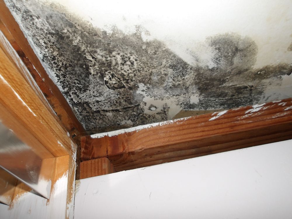 Royal Air Pros - mold inspector in Long Beach, NY