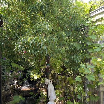Moon Valley Nurseries - Nurseries & Gardening Near Me - Malibu, California Moon Valley Nurseries - Nurseries & Gardening Near Me - Malibu, California