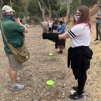 Catalina Falconry Experience - Me & PK - Active Life Near Me - Avalon, California Catalina Falconry Experience - Me & PK - Active Life Near Me - Avalon, California