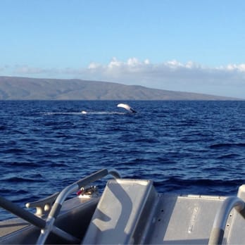 Seafire Charters - Here's a whale flipping a flipper at us. - Boat Charters Near Me Seafire Charters - Here's a whale flipping a flipper at us. - Boat Charters Near Me