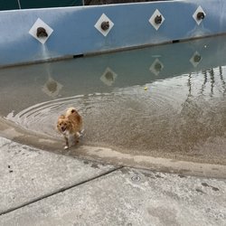 Dr James W Thornton Dog Park