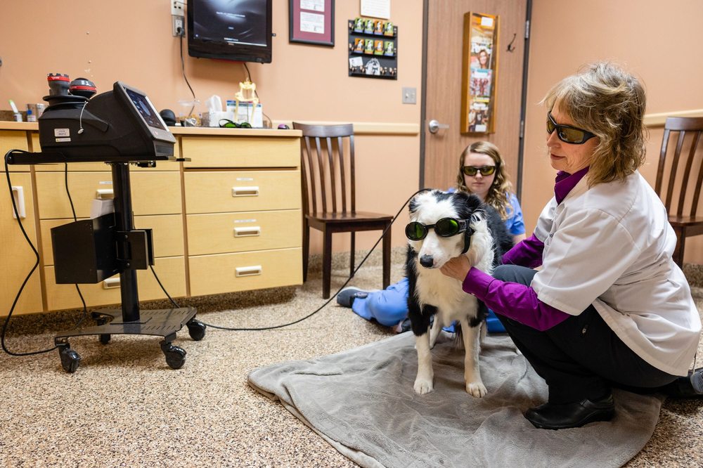 Franktown Animal Clinic Image