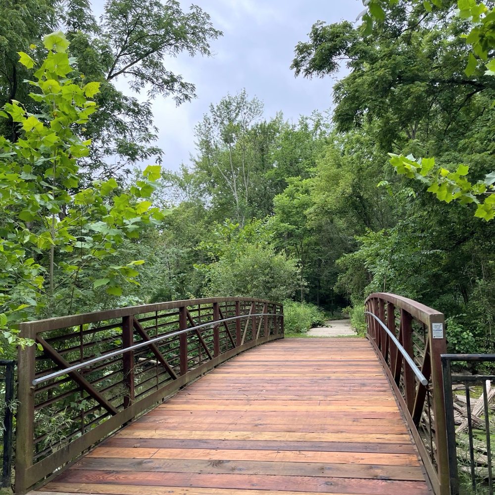 Draper-Houston Meadows Preserve - Hiking Near Me - Milan, Michigan