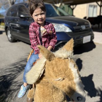 Rancho Los Fonseca - Petting Zoos Near Me - Muscoy, California Rancho Los Fonseca - Petting Zoos Near Me - Muscoy, California
