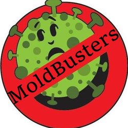 Mold Busters Lewisville