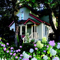 Expert Properties