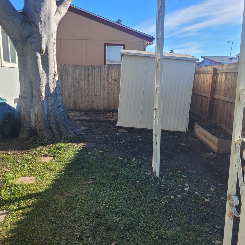 Payne Tree Care - Tree Services Near Me Payne Tree Care - Tree Services Near Me