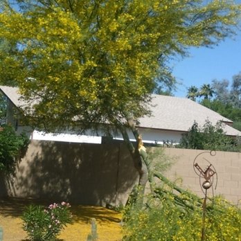 Marcelino Landscaping - Before - Landscaping Near Me Marcelino Landscaping - Before - Landscaping Near Me