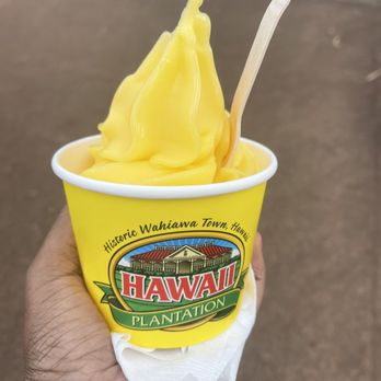 The Pineapple Exp - Dole plantation - Bus Tours Near Me The Pineapple Exp - Dole plantation - Bus Tours Near Me