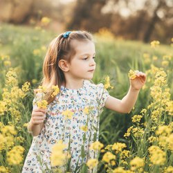 Alicia Cervenka Photography