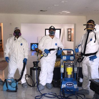 Miami Mold Specialist - We find the source of mold growth, once remediation is performed the mold doesn't return, since the source of damage has been addressed - Damage Restoration Near Me - Miami, Florida