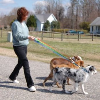 Southern Comfort Pet Services - Dog walking can be done at every visit, if requested. - Dog Walkers Near Me - Lexington, South Carolina Southern Comfort Pet Services - Dog walking can be done at every visit, if requested. - Dog Walkers Near Me - Lexington, South Carolina