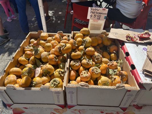Noe Valley Farmers Market by null