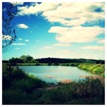 Homestead Farm - Sit and eat by this beautiful pond - Fruits & Veggies Near Me - Poolesville, Maryland