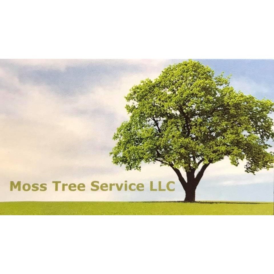 Moss Tree Service - tree service in Charleston, WV