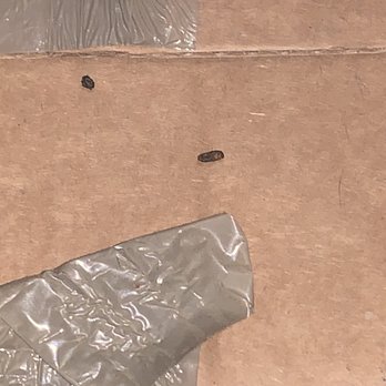 Public Storage - Phoenix - Rat feces - Self Storage Near Me - Phoenix, Arizona