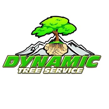 Dynamic Tree Service - Tree Services Near Me