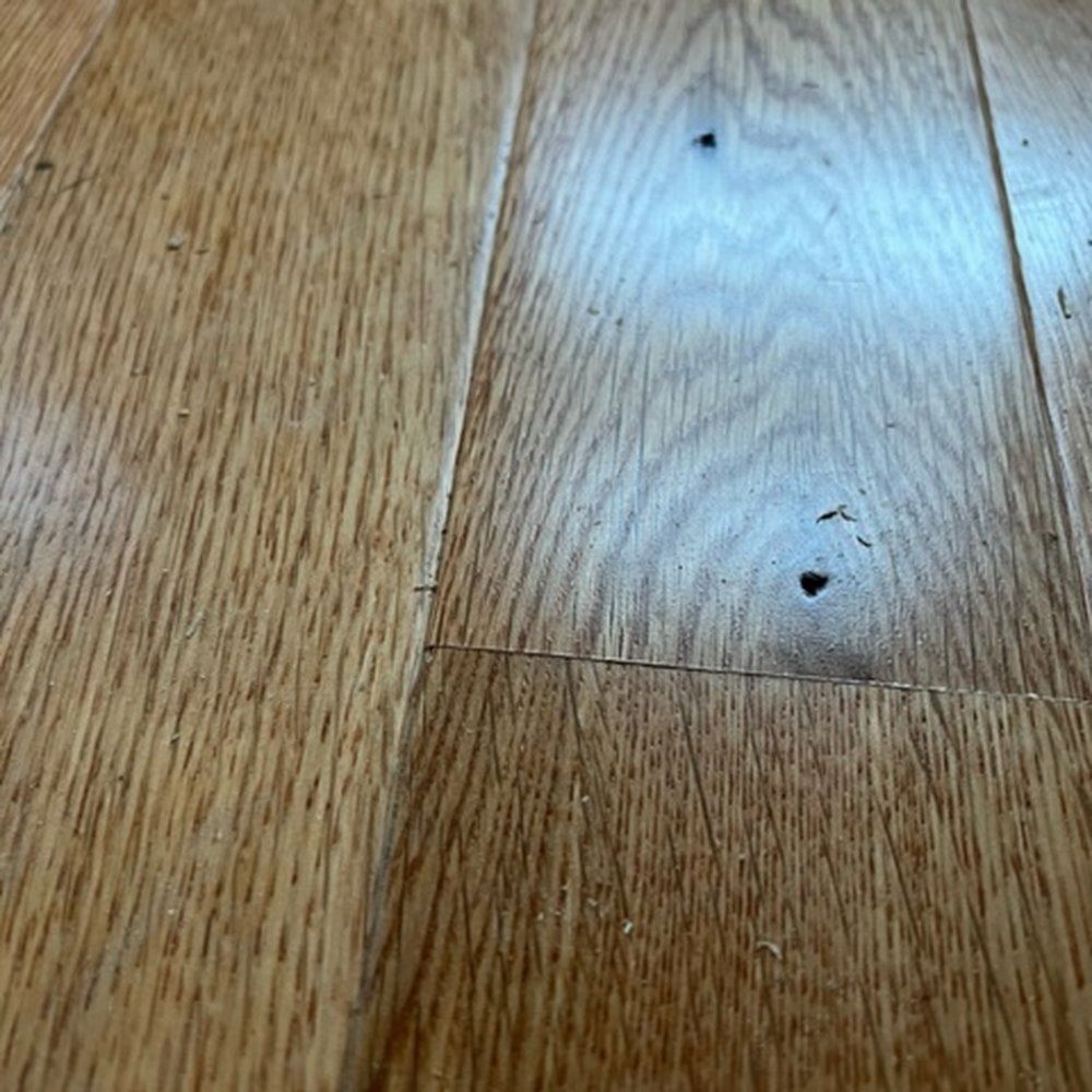 National Floors Direct - Flooring Near Me - Braintree, Massachusetts